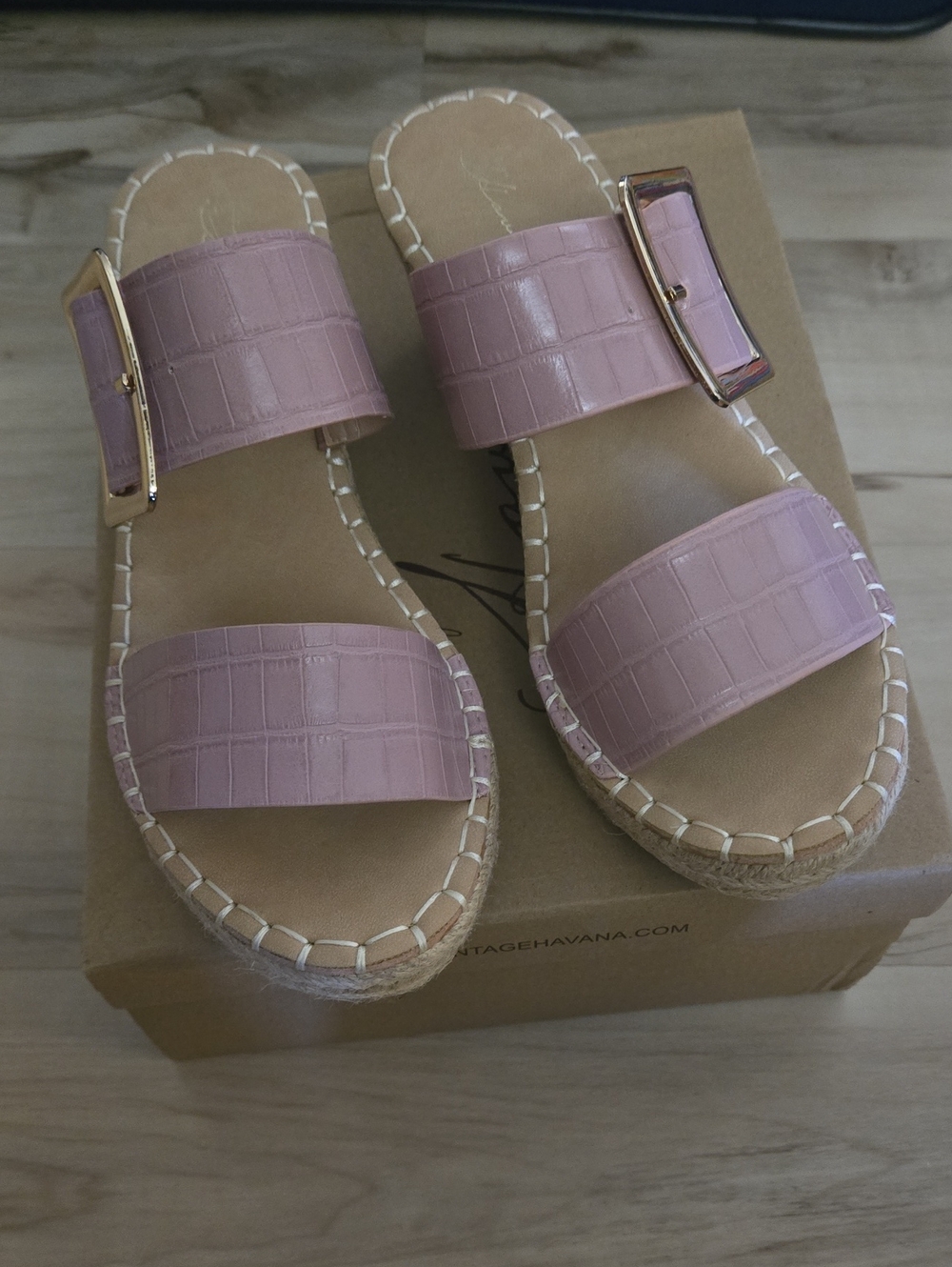 Vintage Havana Blush Pink Slide Sandals with Buckle